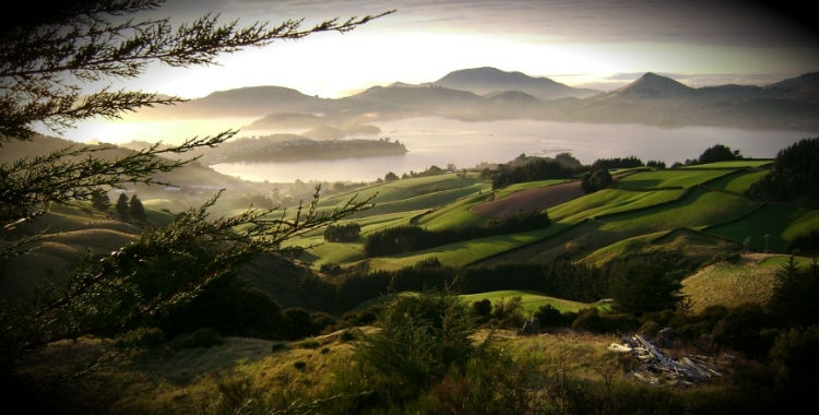 Photo of Dunedin, New Zealand